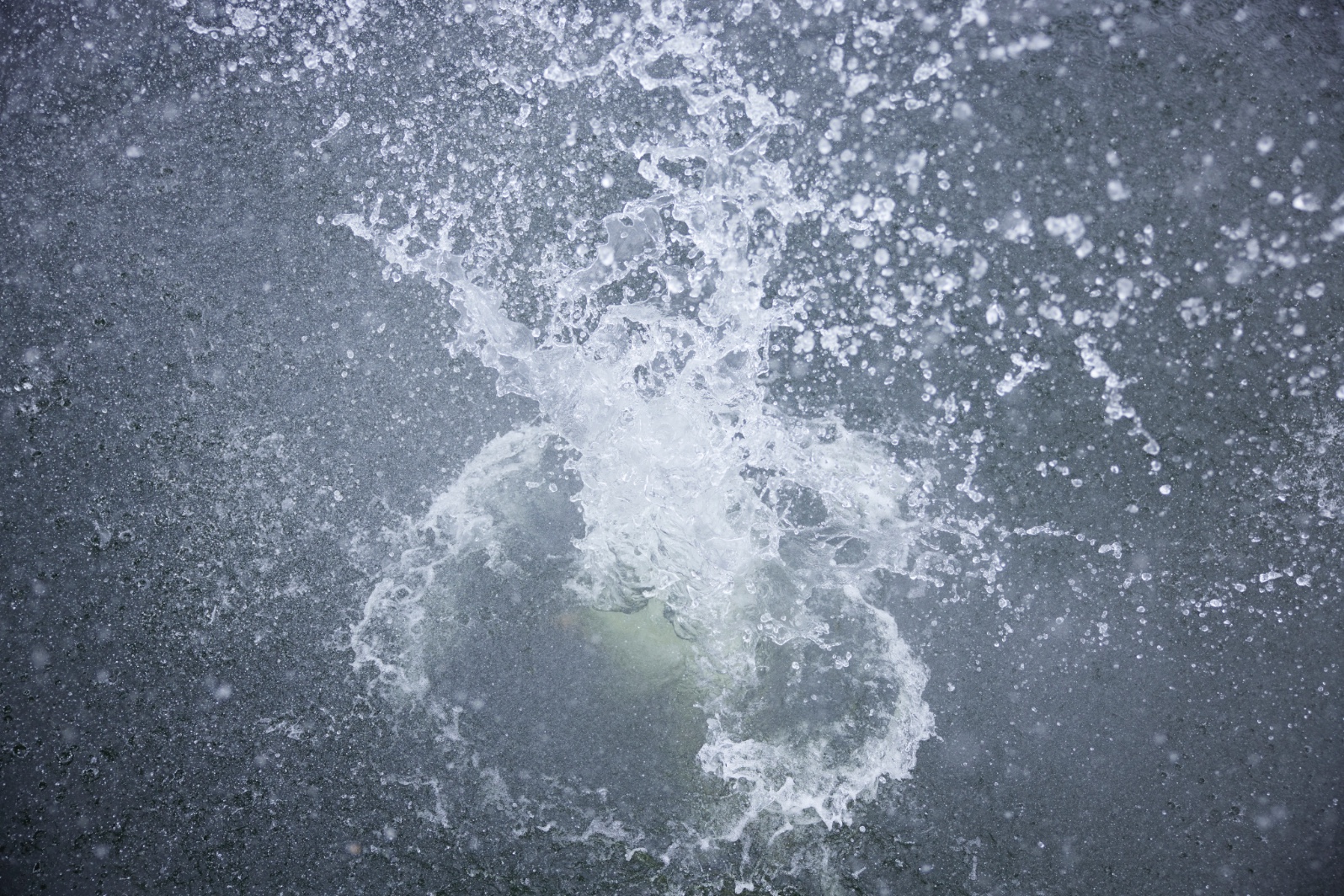 3_-_2208_dfm-wasser_01077.jpg